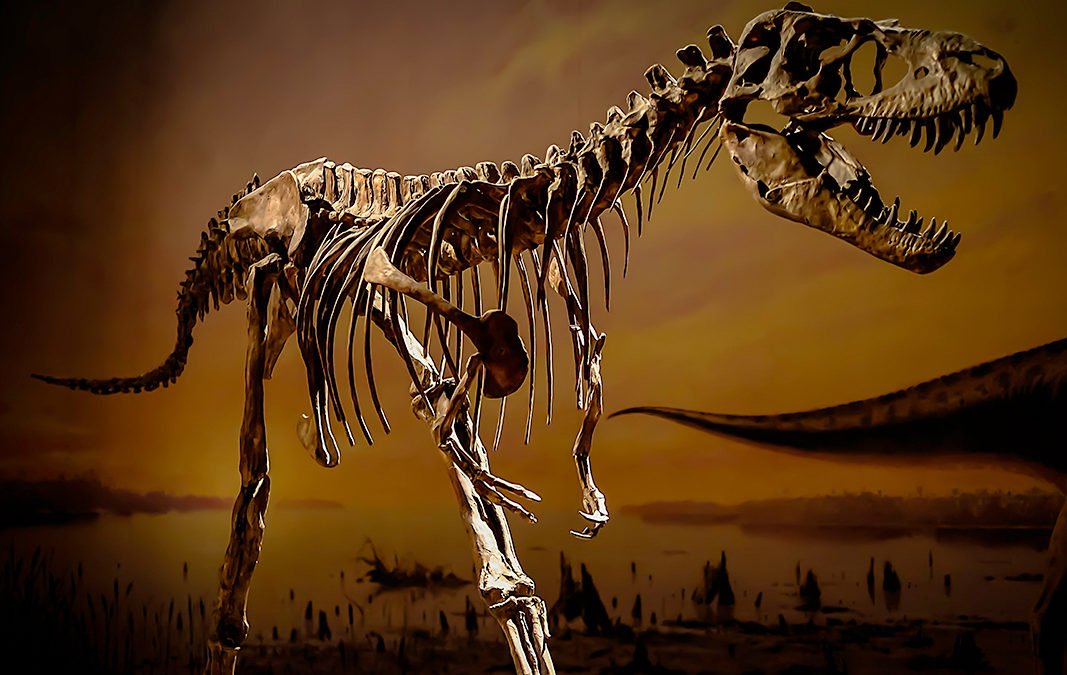 Best dinosaur museums and attractions worldwide