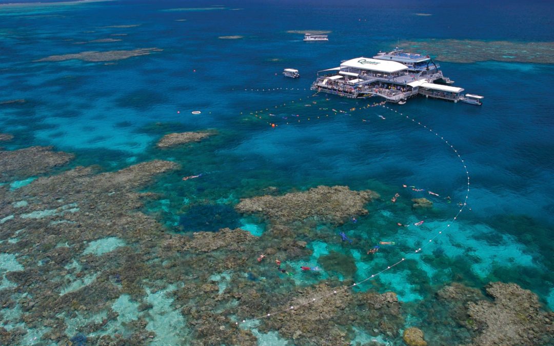 How to See the Great Barrier Reef with Kids