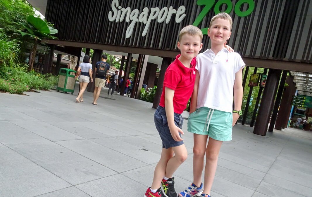 Tips for the best time at Singapore Zoo